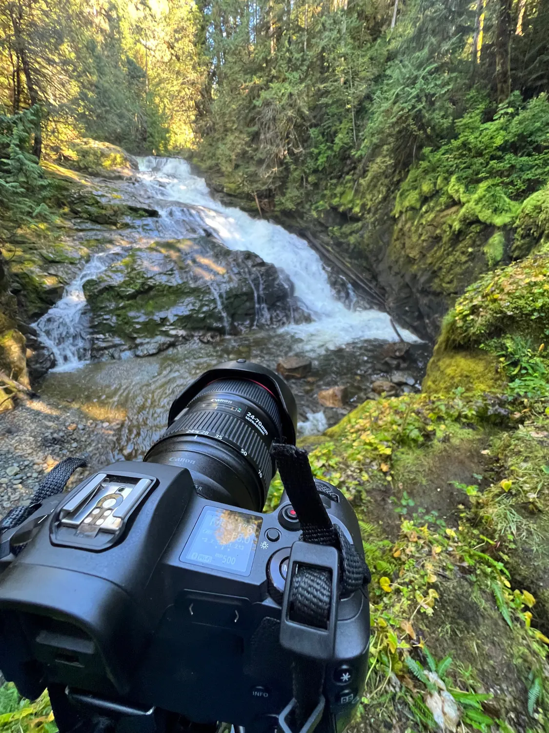 Portrait-oriented travel capture