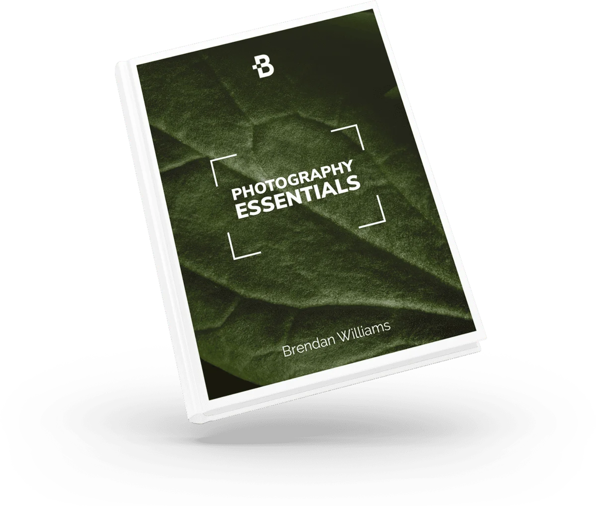 Conquer Your Creative Vision - The 3 Part Roadmap