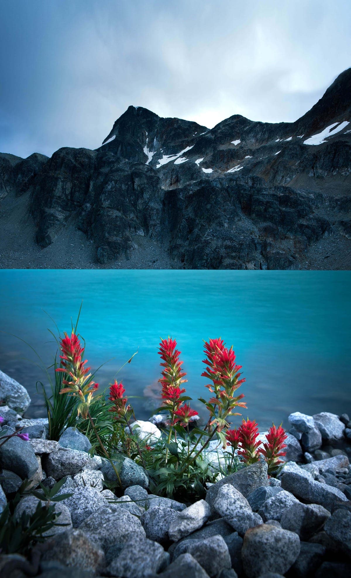 WedgemountFlowers_REVISED