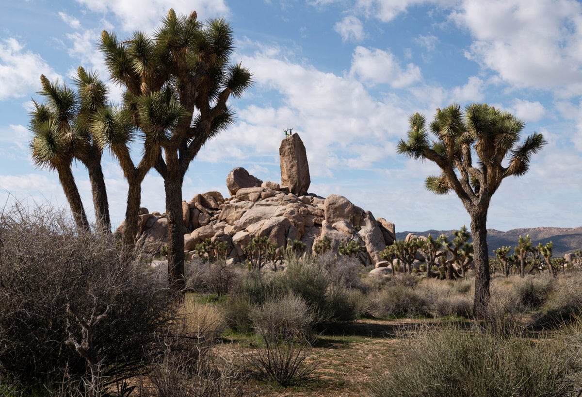 Rock Climbing In Joshua Tree National Park: The Ultimate Road Trip