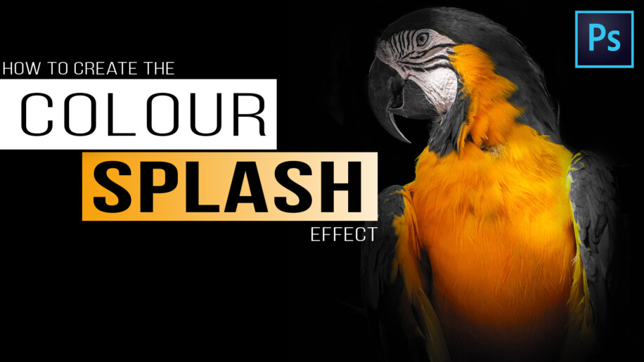 How To Make A Photo Black And White Except One Colour In