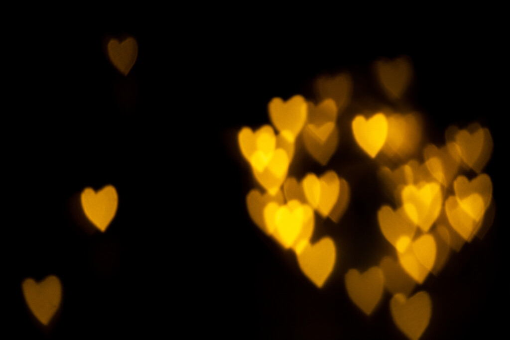 8 Fun Photography Projects And Ideas To Try At Home