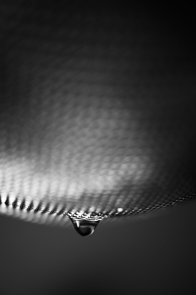 FunPhotographyProjectsAndIdeas-17