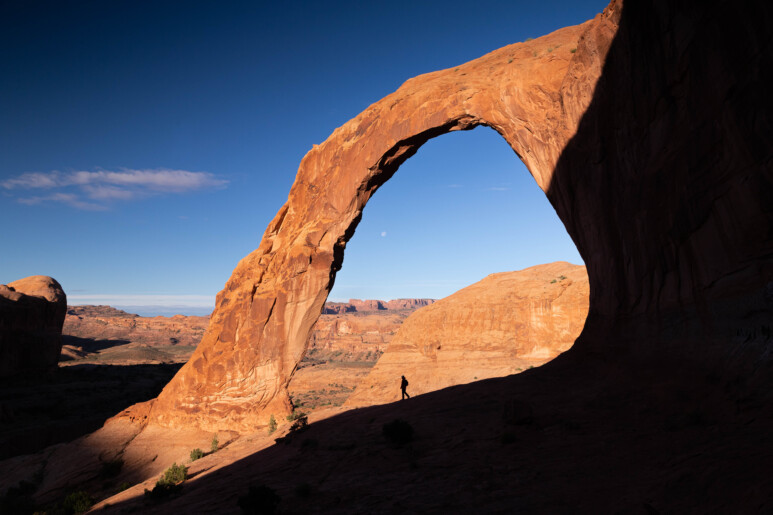 Do Photographers Edit Their Photos? (Photo Editing Explained)