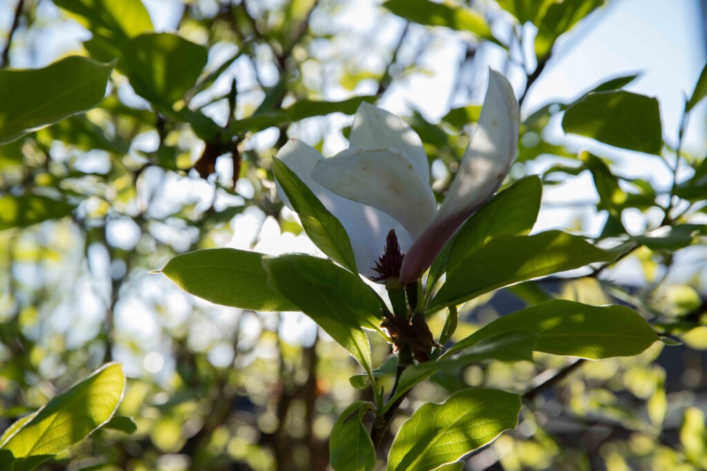 What Is Clipping In Photography And How To Avoid It