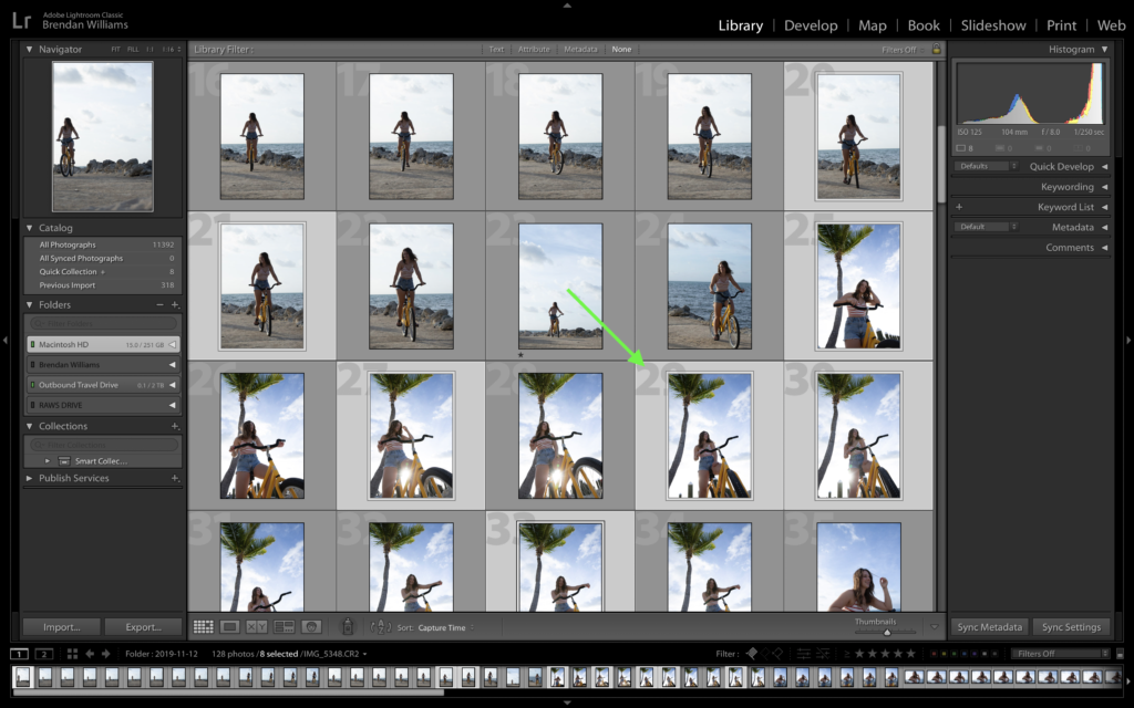 select-individual-files-to-export-from-lightroom