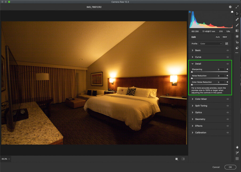 camera-raw-detail-panel