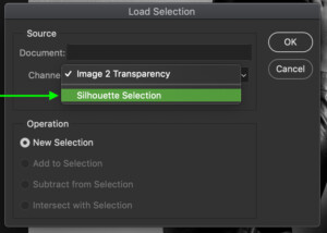 how-to-copy-selection-to-new-layer-in-photoshop-19