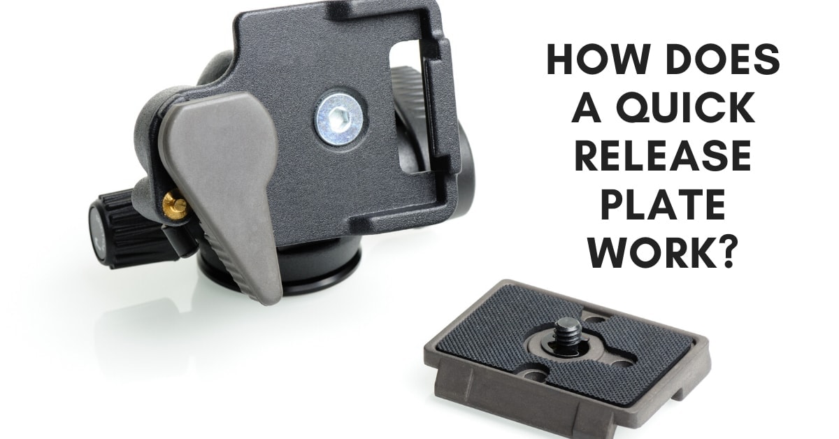 How Do Tripod Quick Release Plates Work?