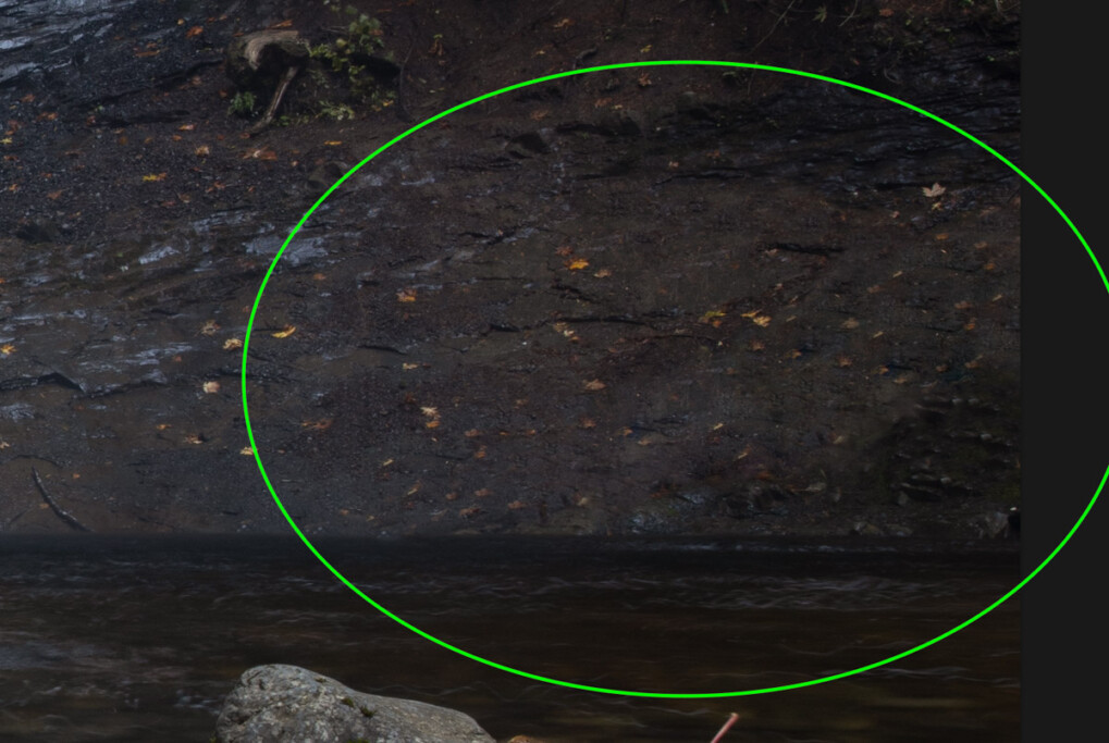 Why Do Photographers Use Brendan Williams Creative