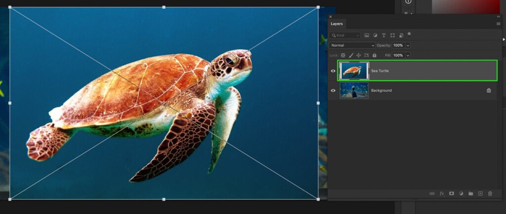 how to move an image in photoshop