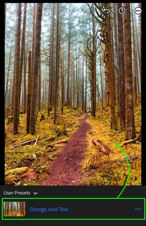 How To Get The Orange And Teal Look In Lightroom Mobile (Step By Step)