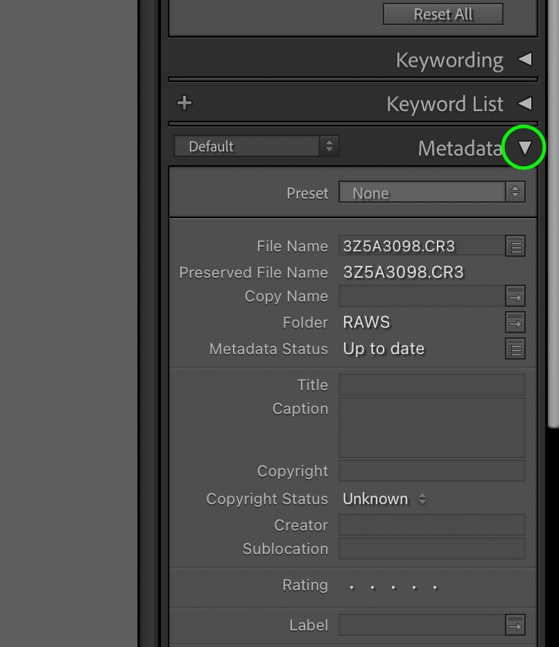 lightroom view photo metadata lightroom view photo metadata