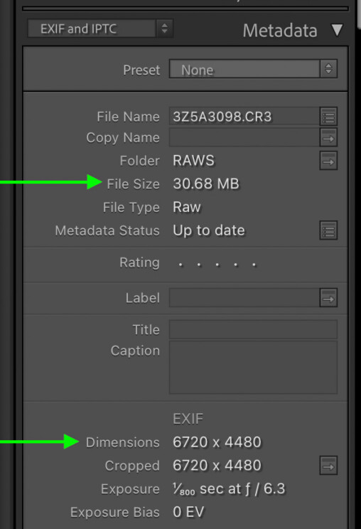How To See File Sizes In Lightroom (And Change Them!)