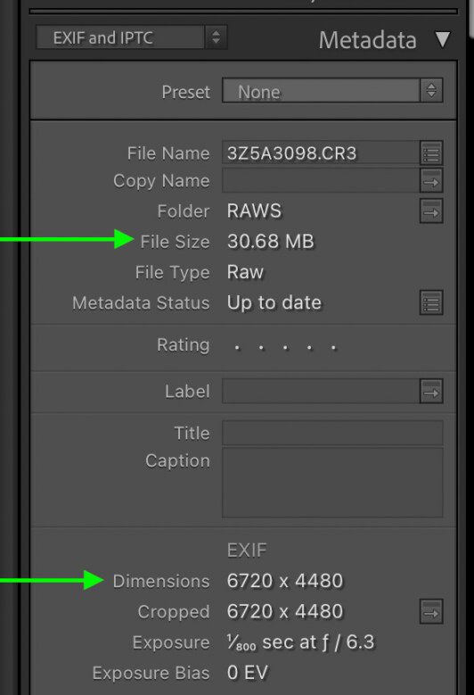 How To See File Sizes In Lightroom (And Change Them!)
