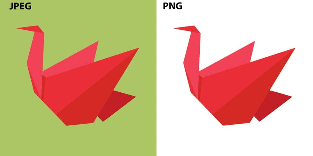 How To Convert A JPEG To PNG In Photoshop (With Transparency!)