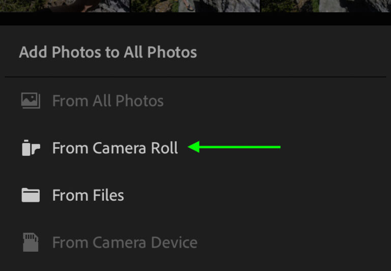 How To Use Lightroom Mobile Guide)