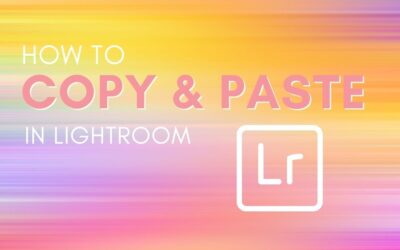How To Easily Copy And Paste Settings In Lightroom