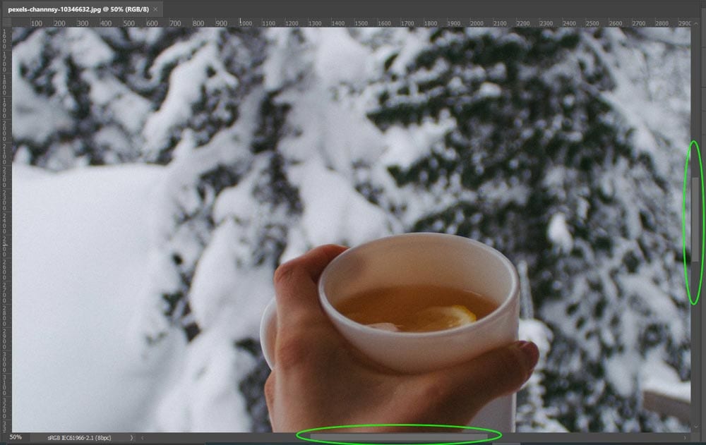 how to zoom and navigate in photoshop 24