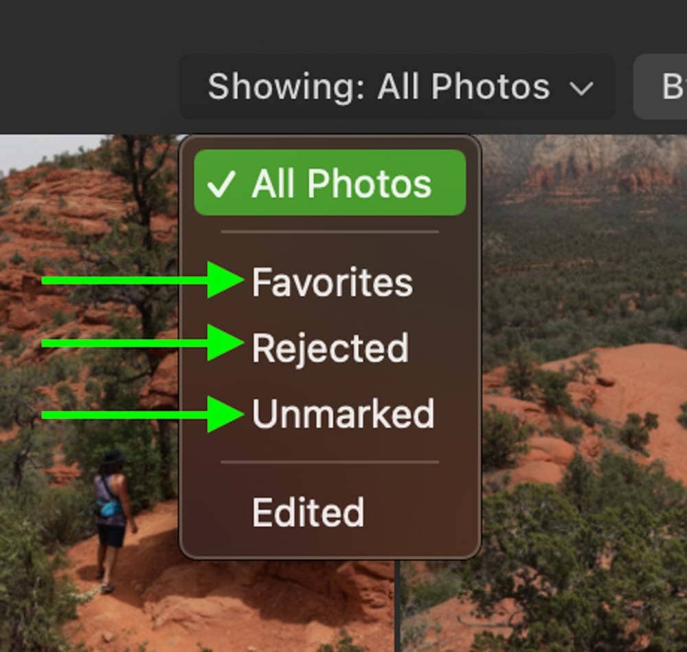 difference between luminar ai and luminar neo difference between luminar ai and luminar neo