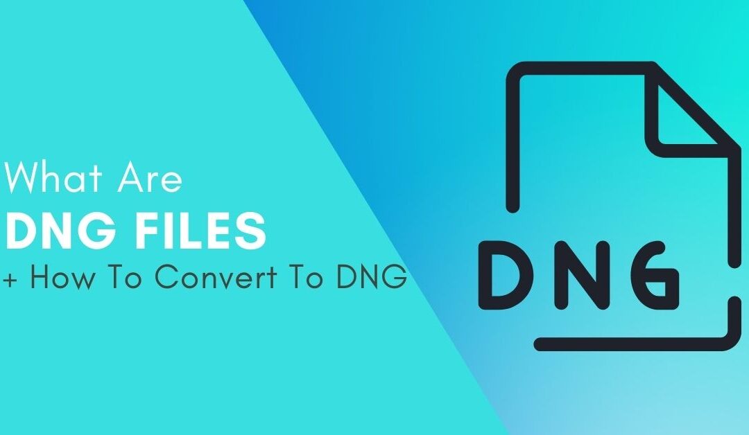 What Is A DNG File? (+ How To Convert To DNG)