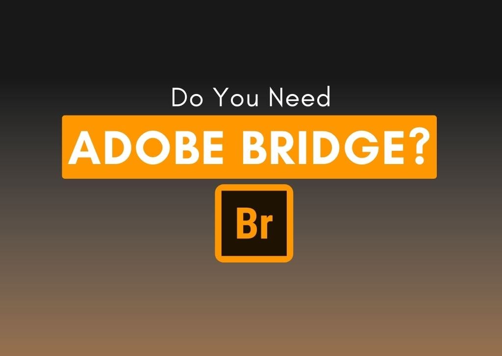 What Is Adobe Bridge + Is It Right For You?