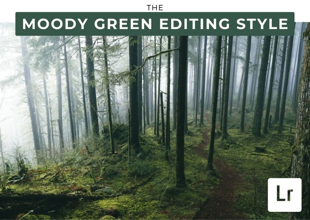 How To Edit Moody Green Photos In Lightroom (Step By Step)