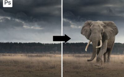 How To Combine Two Images In Photoshop