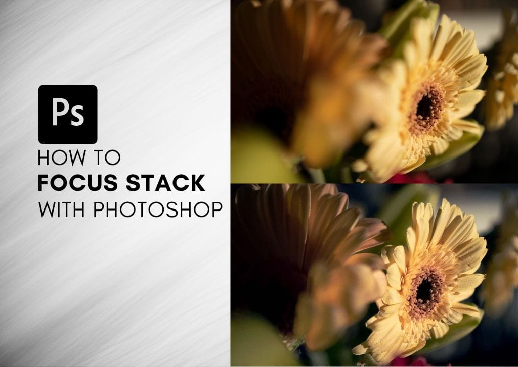 How To Focus Stack In Photoshop (Ultimate Guide)