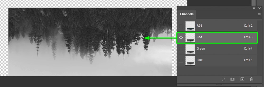 photoshop tutorial double exposure