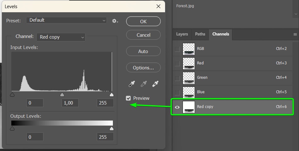 photoshop tutorial double exposure