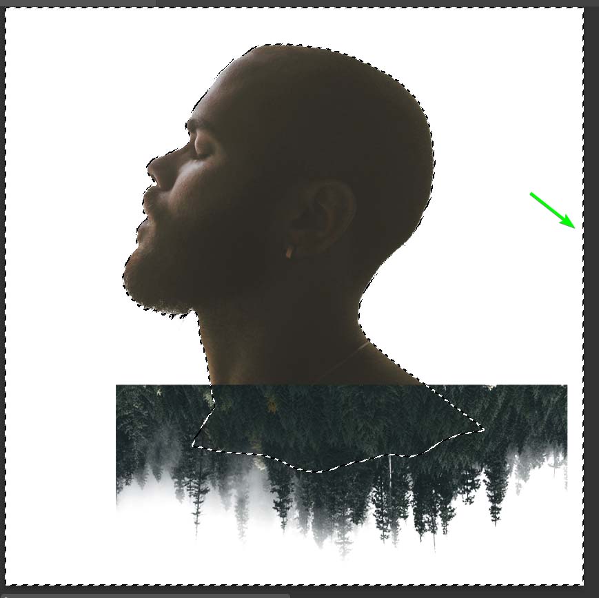 photoshop tutorial double exposure