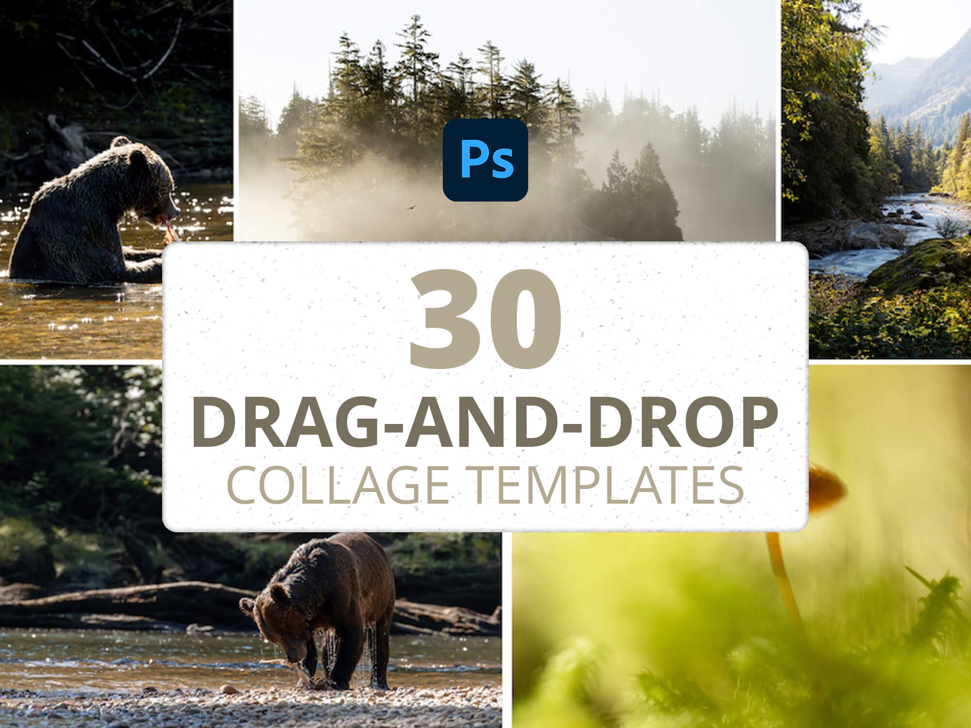Drag & Drop Collage Templates For Photoshop