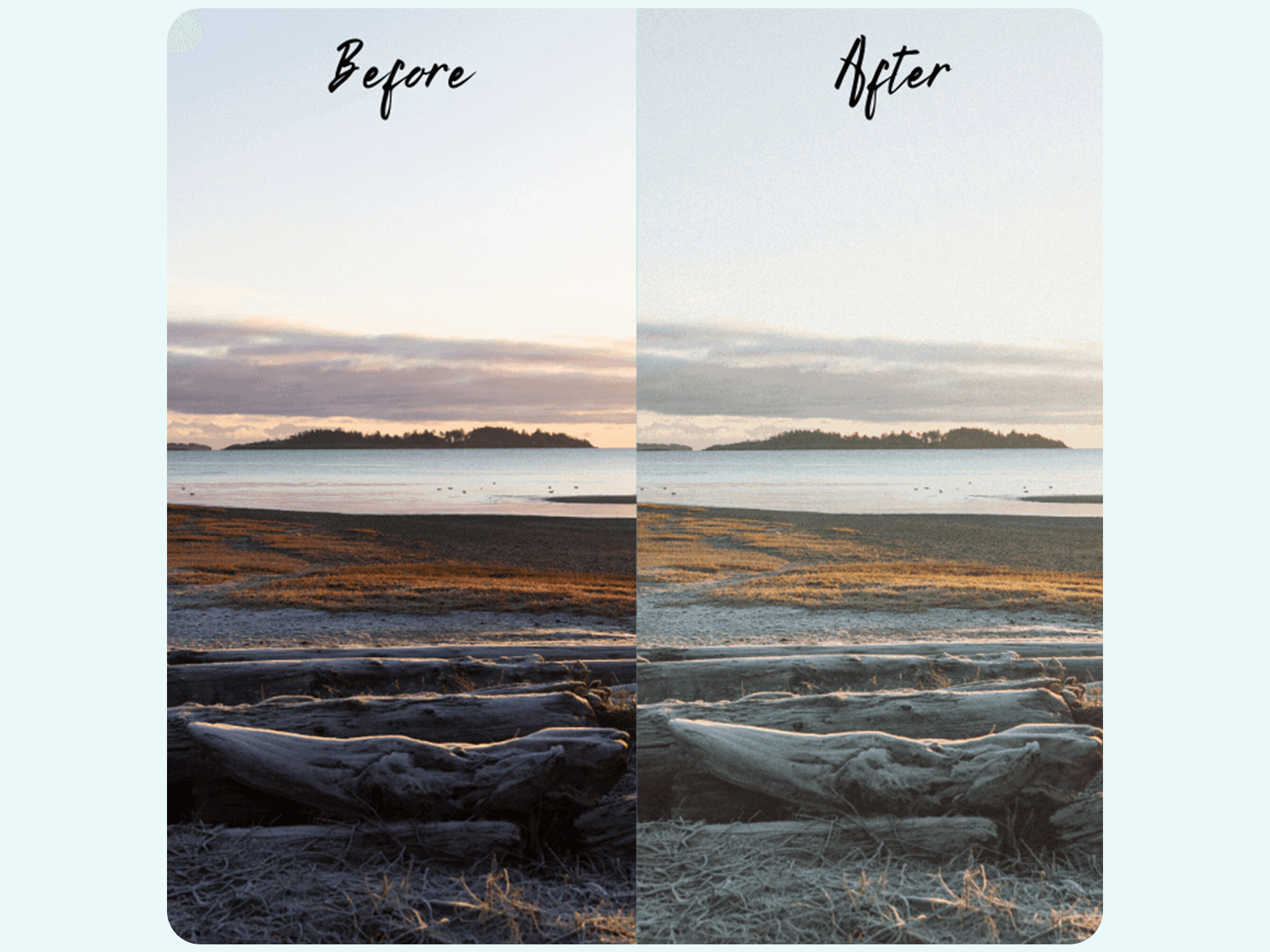 Vintage Film – Lightroom Preset Collection