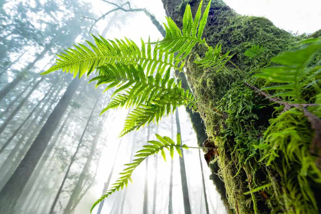 Portfolio-example-brendanwilliams