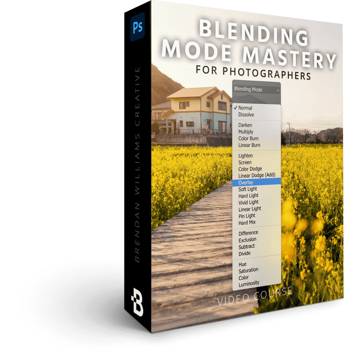 blending modes - 21dpse 2.0 mockup
